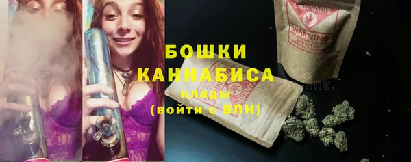дурь Бородино