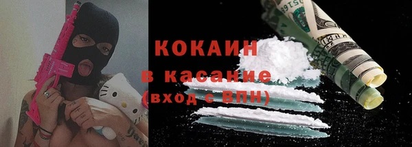 дурь Бородино