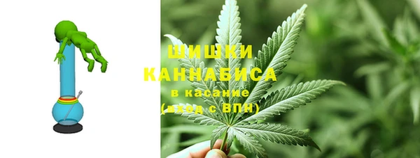 гашик Бронницы