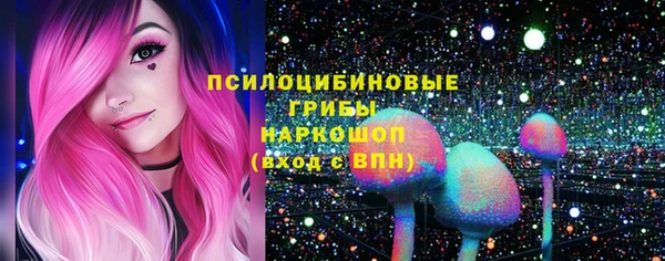 дурь Бородино