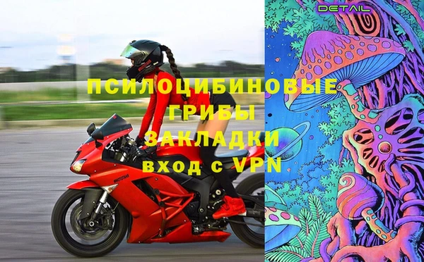 дурь Бородино