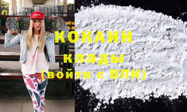 дурь Бородино