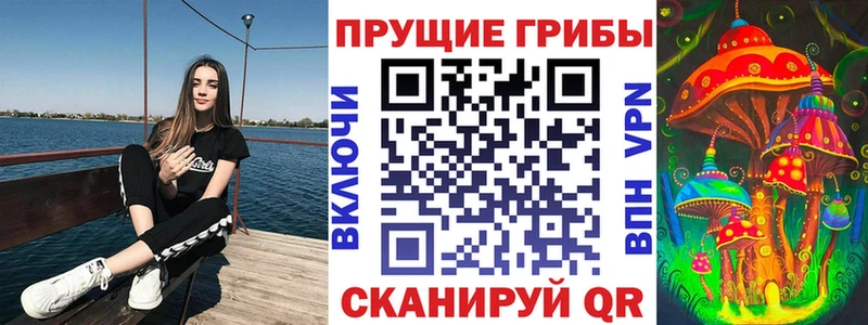 где купить наркоту  Зеленоградск  площадка наркотические препараты  Псилоцибиновые грибы мухоморы 
